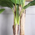 Planta Artificiala Banan japonez, 3 Crengi, fara Ghiveci 190cm Verde - imagine 2